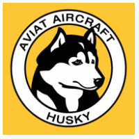 Aviat Aircraft Husky Preview