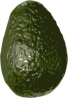 Avocado clip art Preview