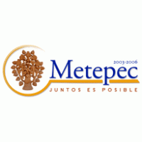 Ayuntamiento de Metepec 2003-2006