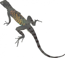 Az-lizard clip art