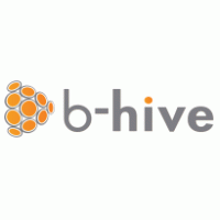 Internet - B-Hive Networks 