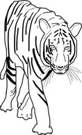 Animals - B_w Tiger clip art 