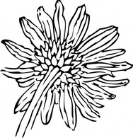 Flowers & Trees - Back Of A Sunflower clip art 