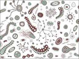 Bacteria and Viruses Vector Preview
