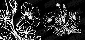 Baimiao flowers vector material