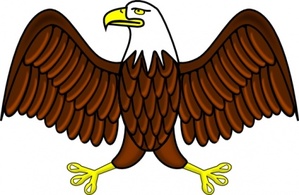 Bald Eagle clip art