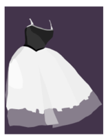 Ballet dress 1