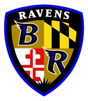 Baltimore Ravens Preview