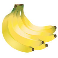 Bananas Vector Graphic Preview