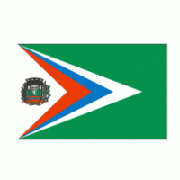 Bandeira de Juara - MT