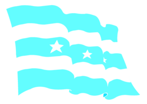 Bandera De Guayaquil 