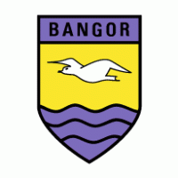 Football - Bangor FC 