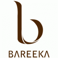 Bareeka Business parks Preview