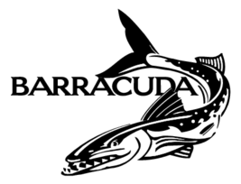 Barracuda