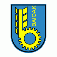 Basak Traktor