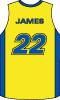 Basketball Jersey Number 22 Vector 