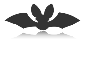 Bat Silhouette Icon