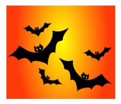 Animals - Bats 
