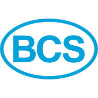 Bcs