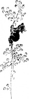 Animals - Bear Cub Up A Tree clip art 