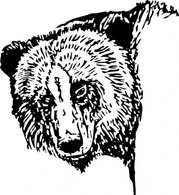 Animals - Bear Head clip art 