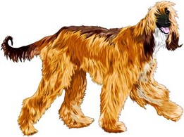 Animals - Beautiful Dog Vector 1 