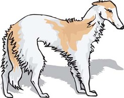 Animals - Beautiful Dog Vector 2 