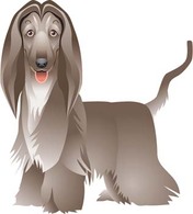 Animals - Beautiful Dog Vector 3 