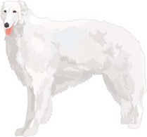 Animals - Beautiful Dog Vector 5 