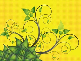 Beautiful Flower Vector