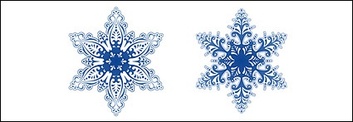 Nature - Beautiful snowflakes vector material 