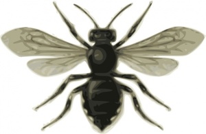 Animals - Bee clip art 