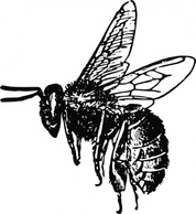 Bee clip art