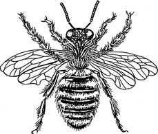 Animals - Bee Queen clip art 