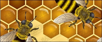 Bee theme vector illustration material