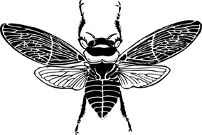 Animals - Bee Top View clip art 