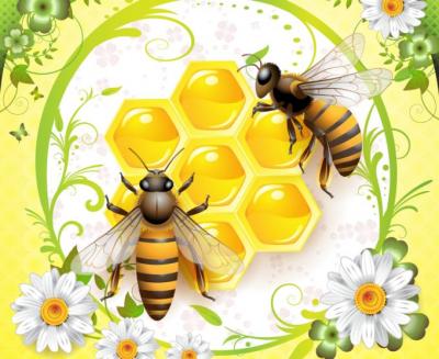 Animals - Bee Vector 