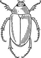 Animals - Beetle clip art 