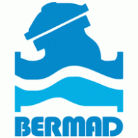 BERMAD Control Valves