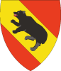 Bern City Coat Of Arms 