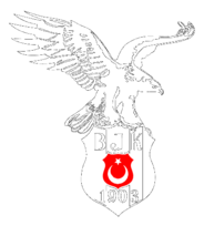 Besiktas Jk 