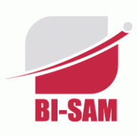 Finance - BI Sam 