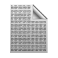 Binary file icon