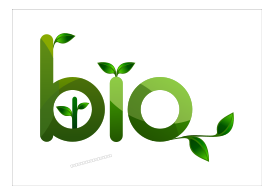 Bio