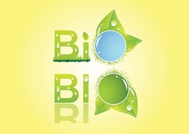 Nature - Bio Graphics 