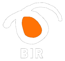 Bir