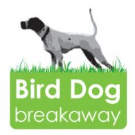 Sports - Bird Dog Breakaway 