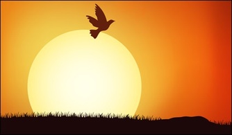 Animals - Bird populations under the Sunset vector material 