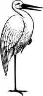 Animals - Bird Standing One Foot clip art 