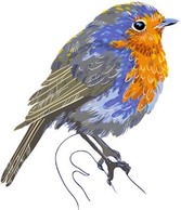 Animals - Bird Vector 10 